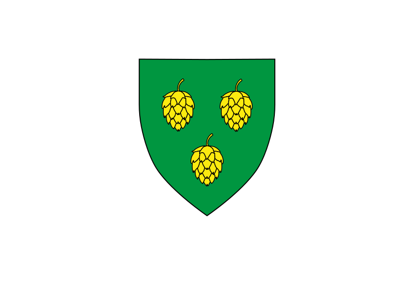logo img